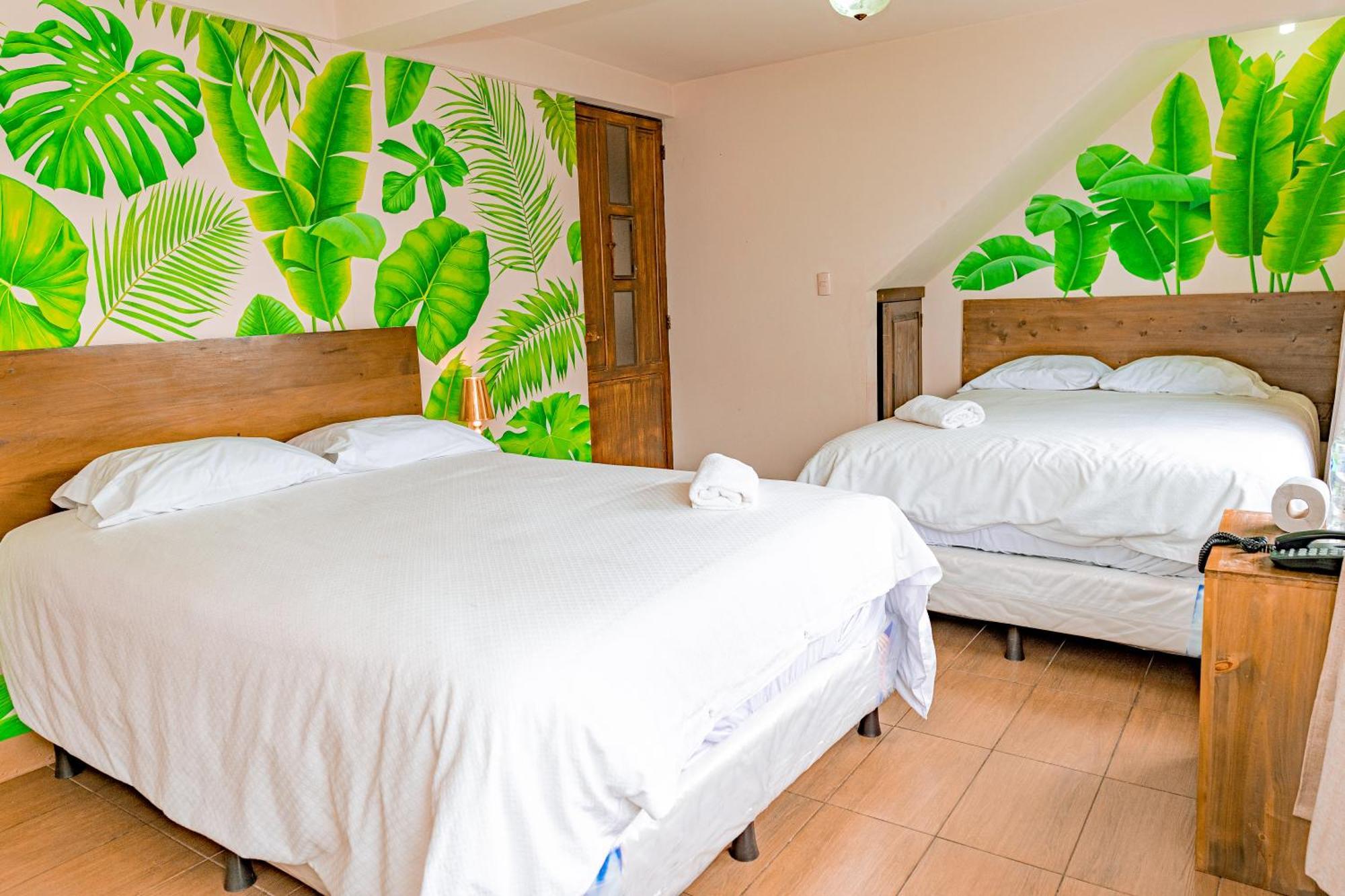 סן פדרו לה לגונה Hotel Ariana מראה חיצוני תמונה